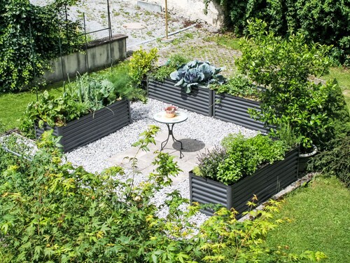 Appartement Frieda by Interhome