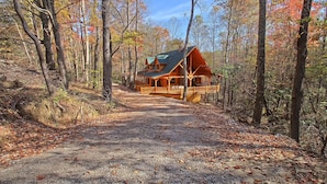 A cabin with a porch, surrounded by trees and a gravel path. - Dogwood Lane Lodge- sleeps up to 18 -Hocking Hills (Logan)