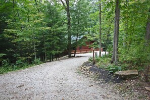 A gravel path leading to a wooden cabin surrounded by dense forest.