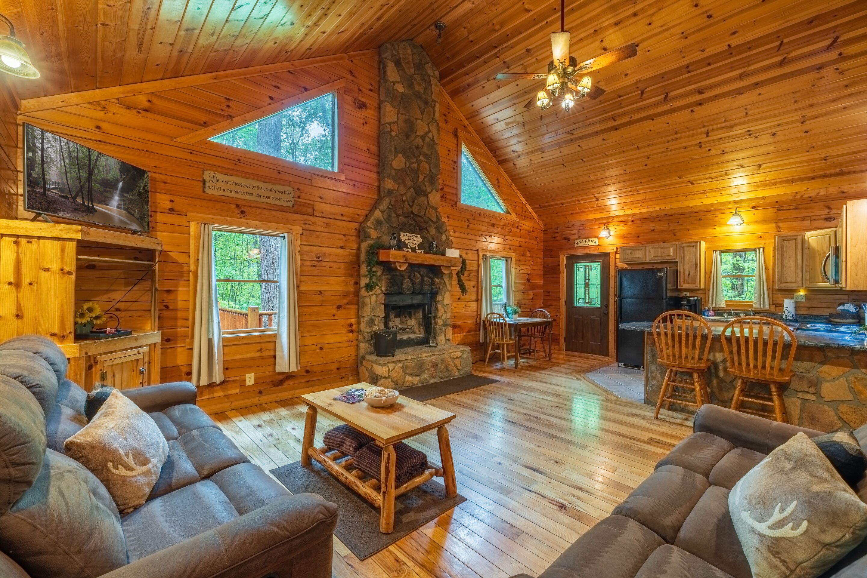 TV, fireplace, DVD player