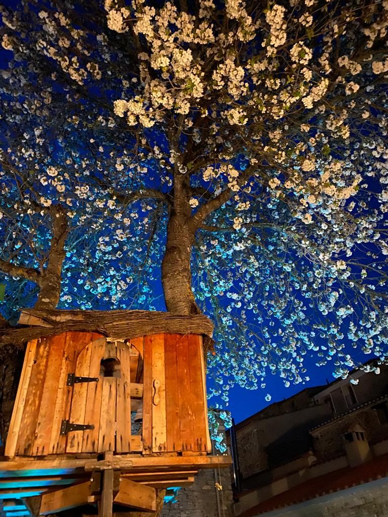 A tree with white blossoms and a wooden structure beneath it.