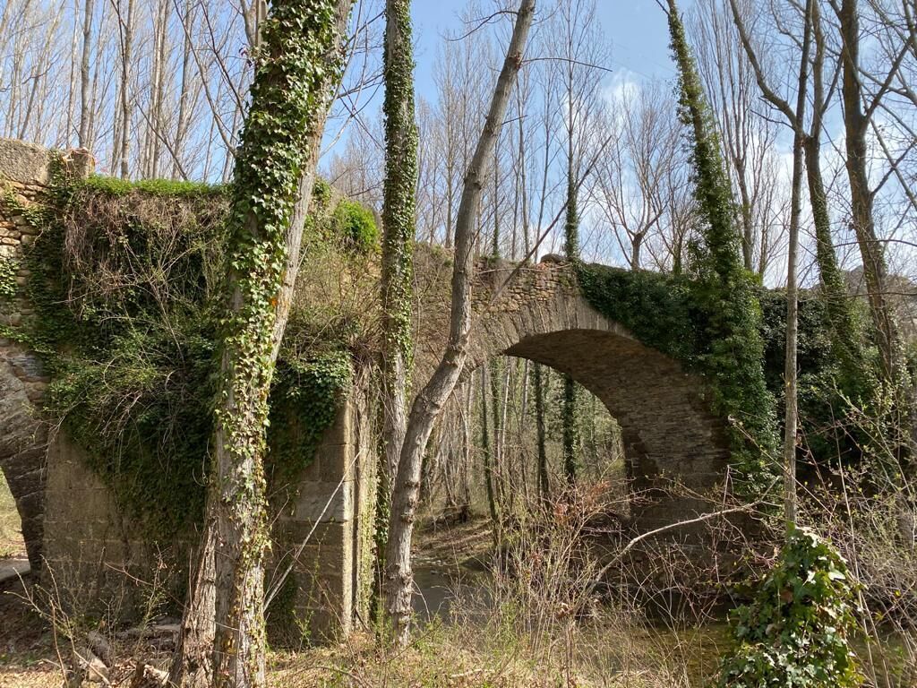 A stone bridge with a natural overgrowth of ivy, surrounded by trees and a stone wall.
