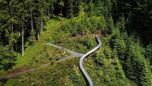 Un camino serpenteante a través de un bosque frondoso, con un pequeño grupo de personas reunidas en un claro.