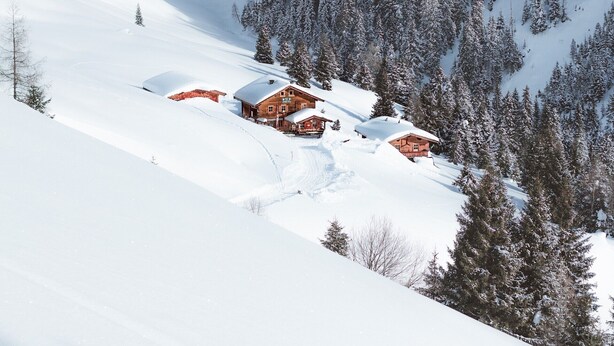 Una cabaña nevada con varias cabañas, rodeada de un bosque denso y árboles cubiertos de nieve.