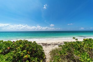 A beach with clear turquoise water, white sand, and lush green vegetation in the foreground.