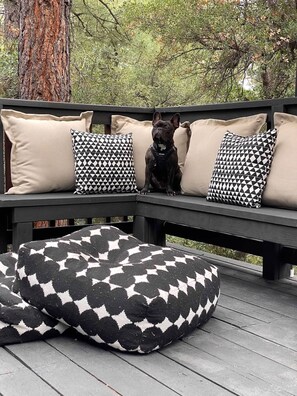 Property grounds - Cozy Rustic Cabin in the Arizona National Forest (Pet-Friendly!) (Prescott)