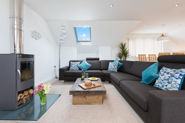 TV, fireplace, DVD player