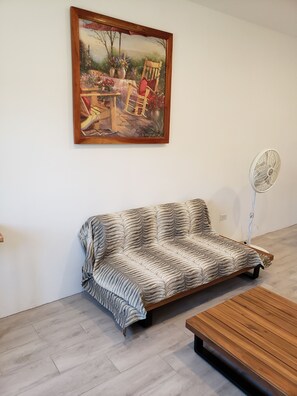 智能电视、DVD 播放器