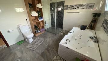 Combined shower/bathtub, towels, soap, toilet paper