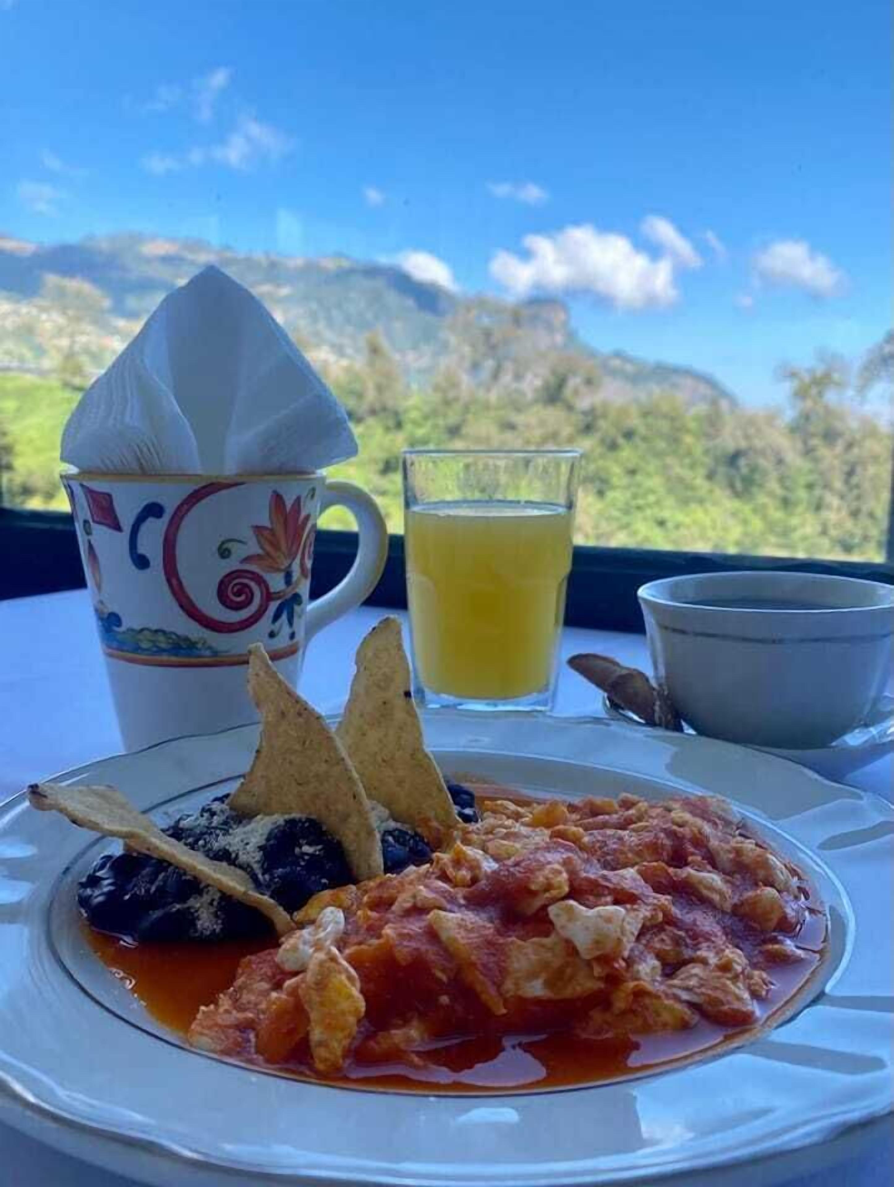 A plate of food with a drink and a napkin, set against a scenic mountain backdrop.