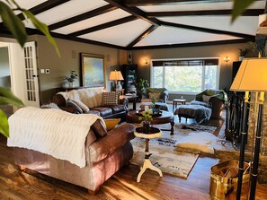 Televisio, takka, stereot, työhuone