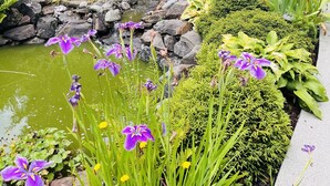 Un jardín con un estanque, rocas y diversas plantas.