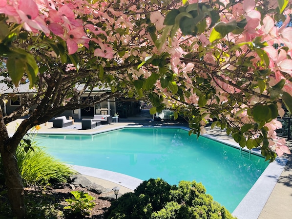 Outdoor pool, a heated pool