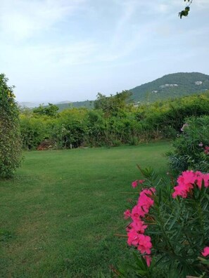 A grassy area with pink flowers and dense greenery. - Sunset Ridge Villas Unit D (St. John)