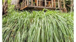 A thatched-roof structure with a wooden balcony, surrounded by lush greenery. - Romantic Cabana with view (Armenia)