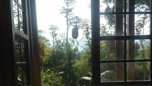An open door leading to a garden with a tiled patio and various plants. - Charming coffee region farm escape (Armenia)