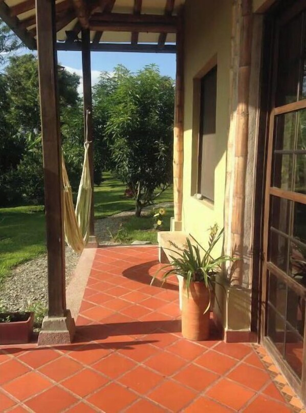 صورة غير مصنفة، 1 من 34، زرّ