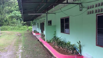 A building with a green exterior, a covered porch, and a garden area with plants and a small water feature.