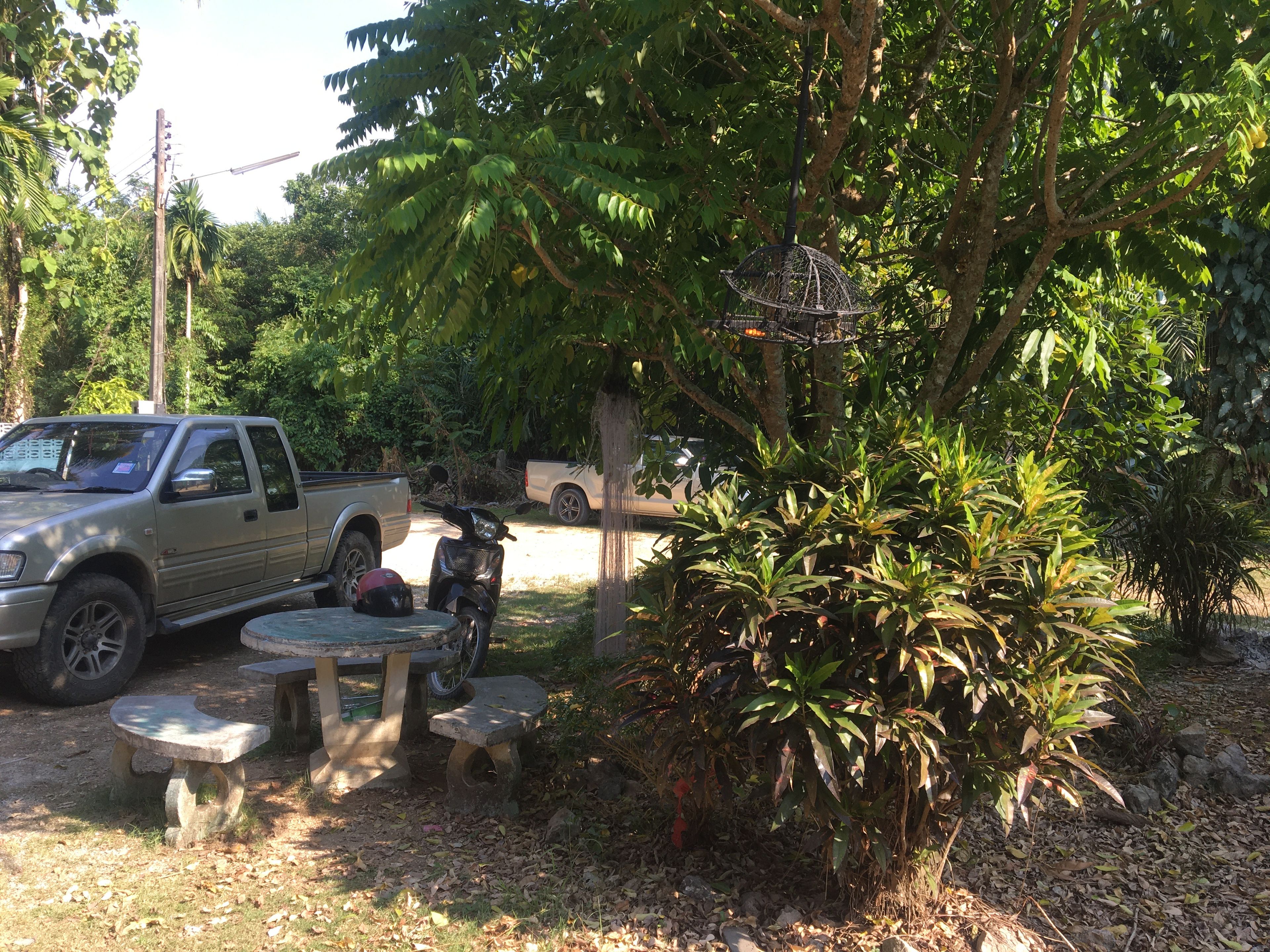 A pickup truck parked in a shaded area with a concrete table and benches.
