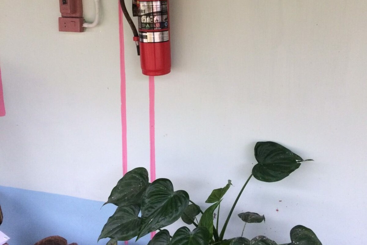 기타