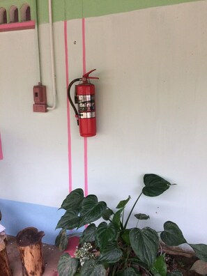 Un extincteur fixé au mur, orné d’une bande rose, une prise de courant et un pot de fleurs contenant une plante à larges feuilles.