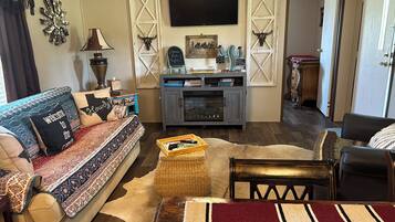 Smart TV, fireplace, books, smart speakers