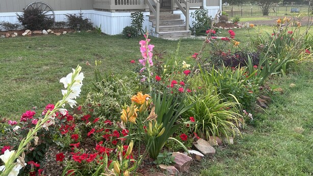 Una casa amb un porxo, una escala i un jardí ple de flors diverses.