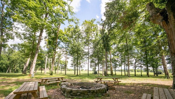 A picnic area with wooden benches and a fire pit surrounded by trees.