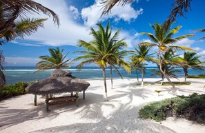 On the beach - Sea Grape (North Side)