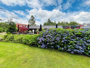 Property grounds - Beautiful detached bungalow for 8 people in Garderen on the beautiful Veluwe (Garderen)