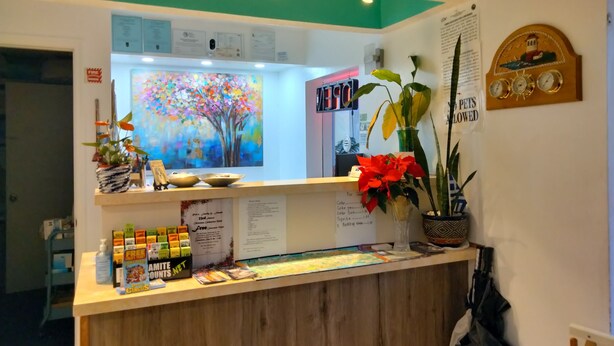 A reception desk with a colorful painting of a tree, a clock, and a sign indicating pets are allowed.