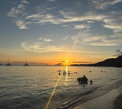 Villa Rénovée à Louer à Sainte-anne en Martinique
