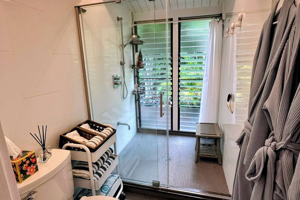 Shower, hair dryer, towels, soap