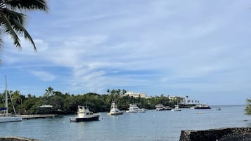 A coastal marina with boats docked, a rocky breakwater, and a backdrop of buildings and palm trees.