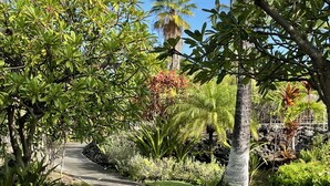 A curved pathway in a landscaped garden with various plants and trees. - Romantic Keauhou Retreat - Pool + Tropical Lanai (Kailua-Kona)
