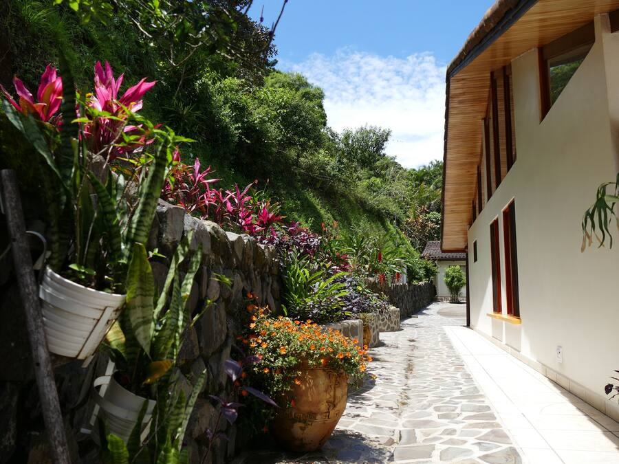 A narrow stone pathway flanked by potted plants and a building with large windows.