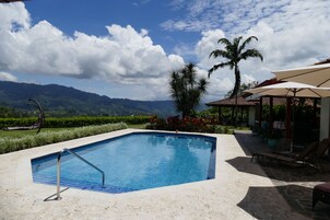 Outdoor pool, pool umbrellas, sun loungers