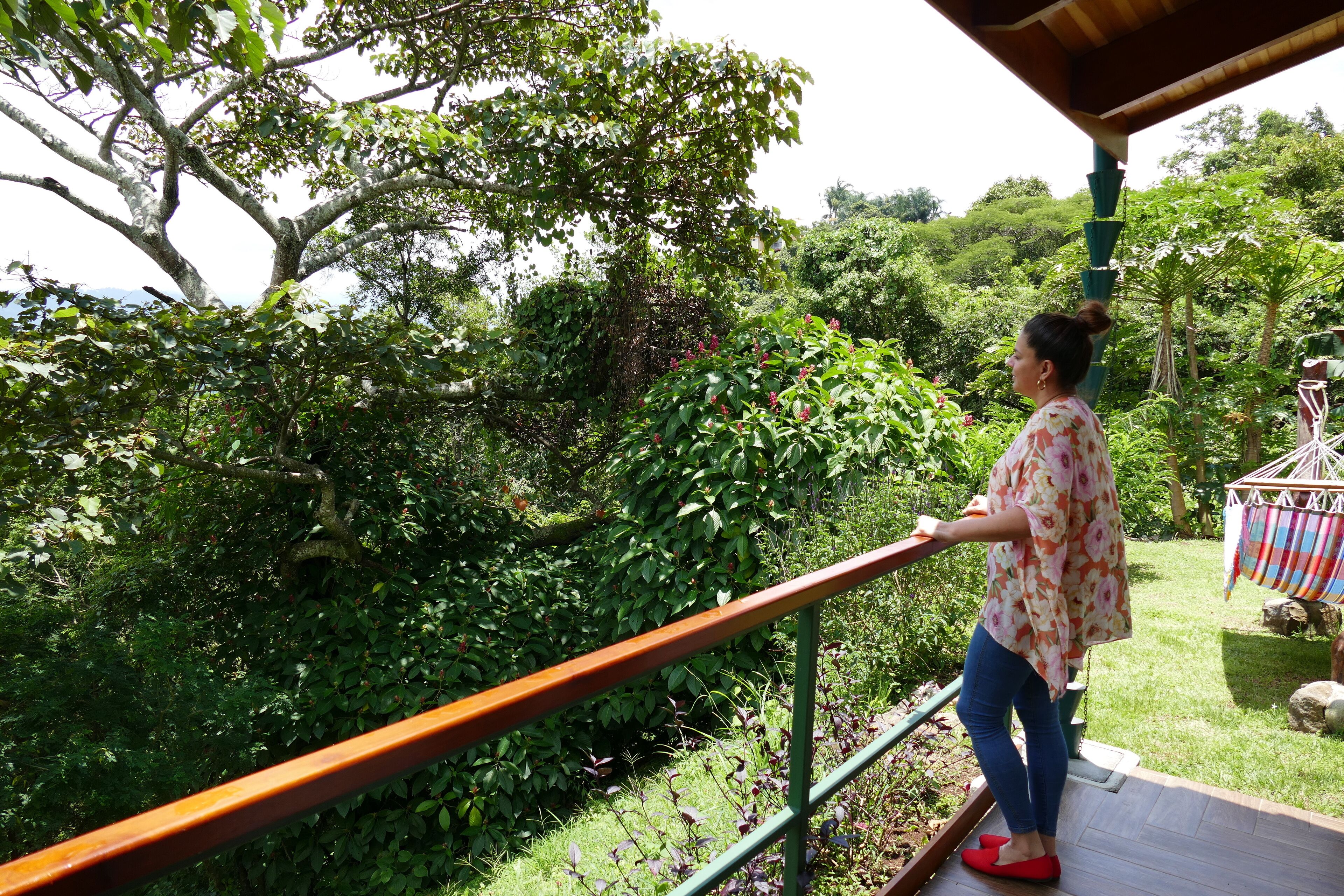 A person standing on a wooden deck with a railing, overlooking a lush garden with various plants and trees.