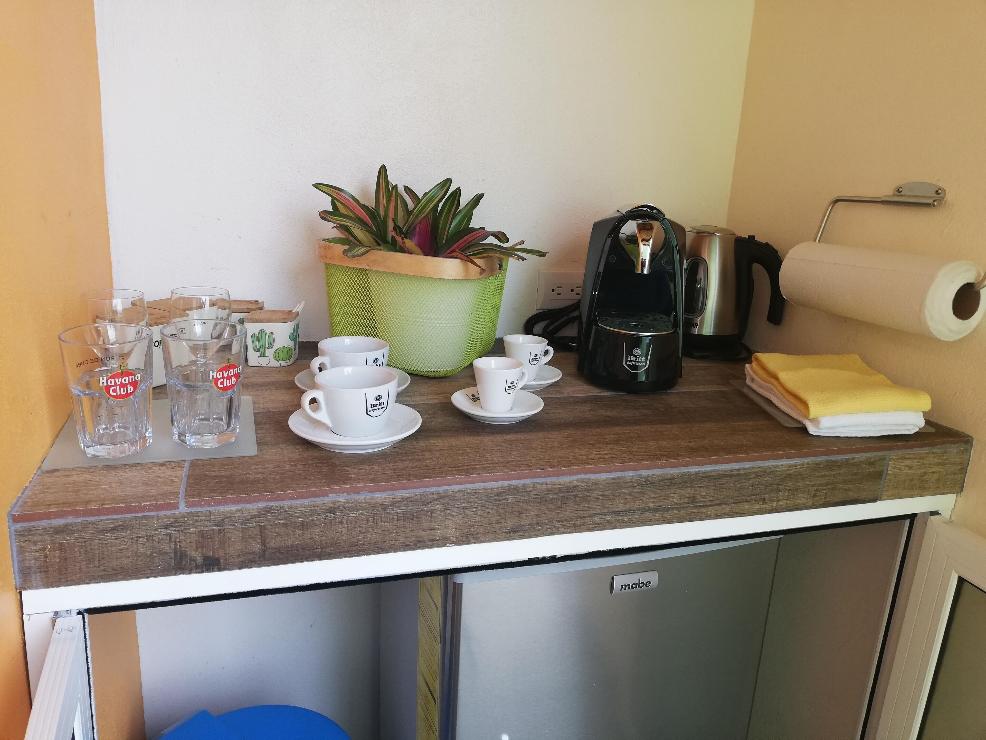 A kitchen counter with a coffee maker, cups, a plant, and a roll of paper towels.