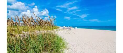 Beach nearby, sun-loungers, beach towels