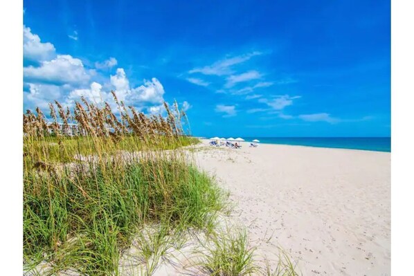 Ranta lähistöllä, aurinkotuoleja, rantapyyhkeitä