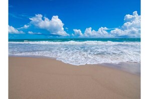 Een strand met helderblauwe lucht en oceaan.
