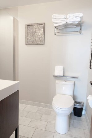 Shower, hair dryer, towels
