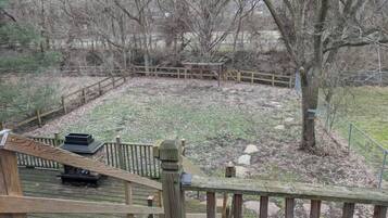 A wooden deck with a metal railing, a bench, and a tree in the background.