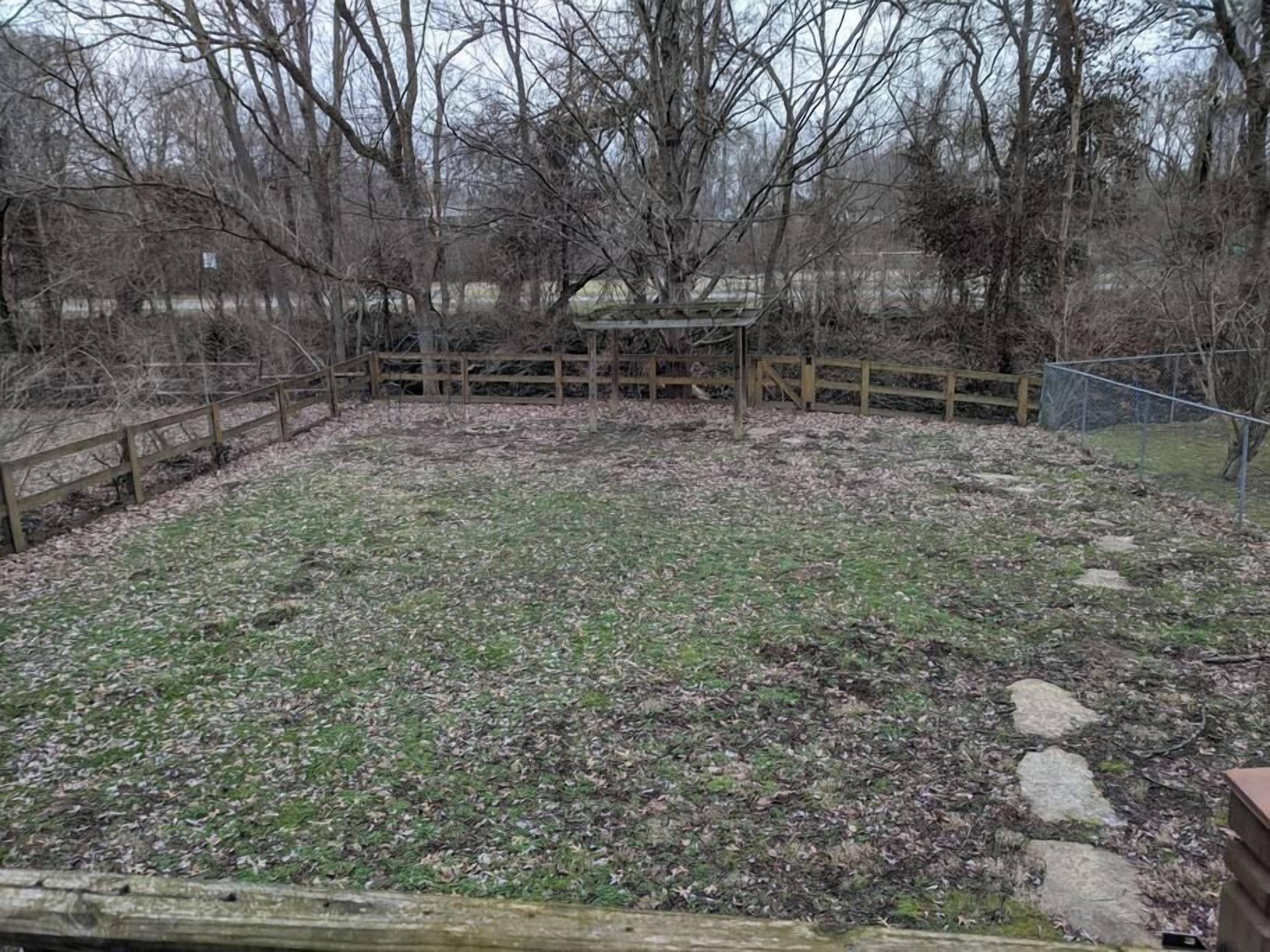A fenced outdoor area with a grassy surface and scattered rocks.