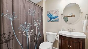 Bathtub, hair dryer, shampoo