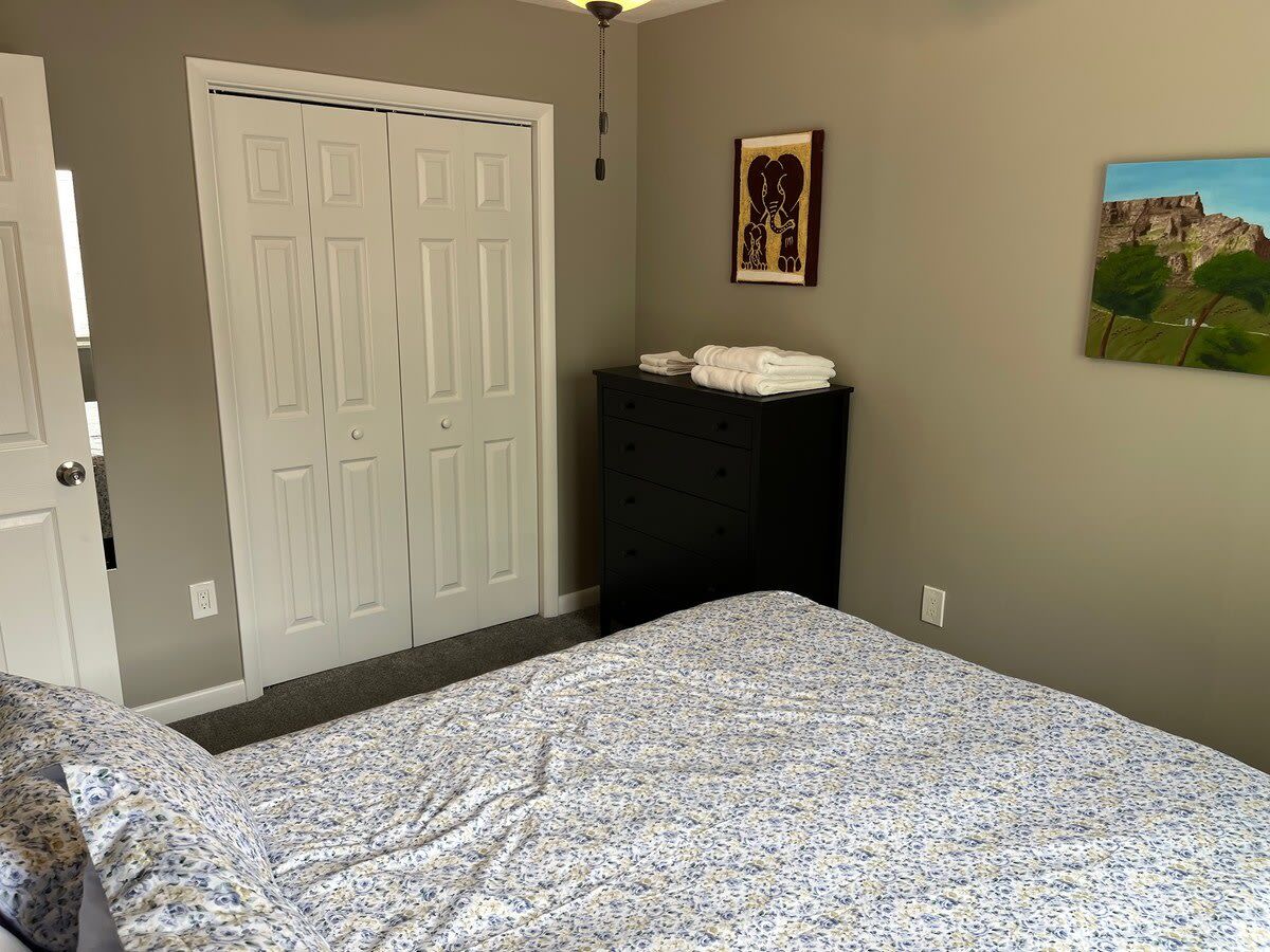 A bedroom with a bed, a dresser, a closet, and two wall art pieces.