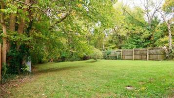 A backyard with a wooden fence, trees, and a grassy lawn.
