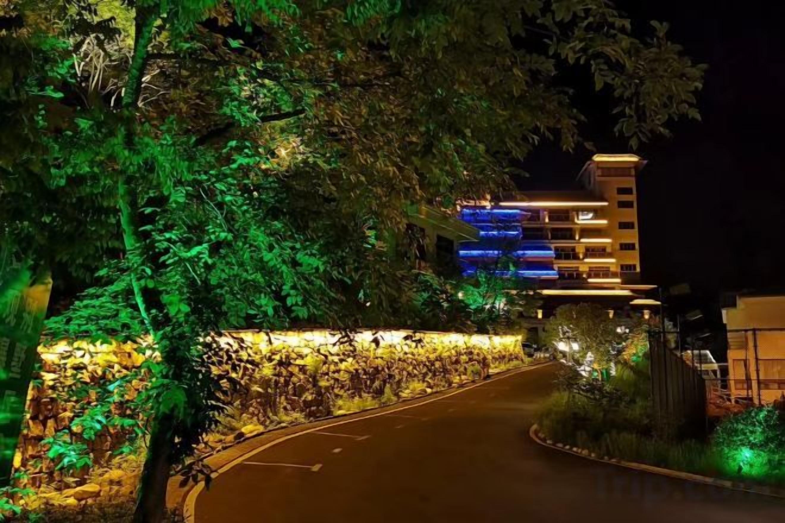 Una carretera curva que conduce a un edificio de varios pisos, rodeado de vegetación e iluminado con luz artificial.