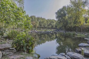 Un lago tranquilo rodeado de rocas y vegetación.